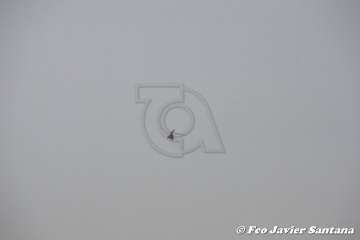 Misa y procesión terrestre-marítima de la playa de Ojos de Garza (Foto TA)